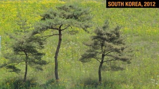 SOUTH KOREA, 2012
 