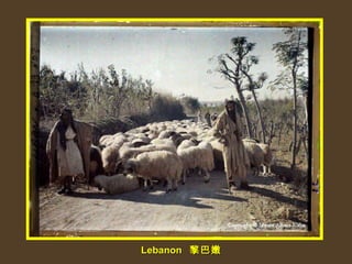 Lebanon  黎巴嫩 