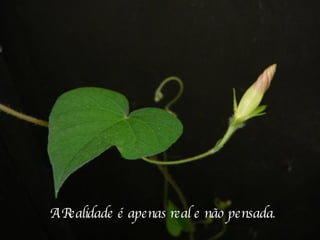 A Realidade é apenas real e não pensada .  