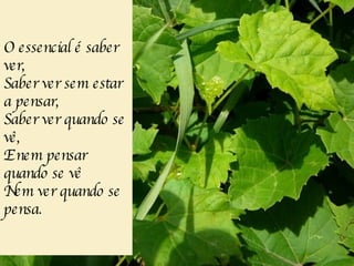 O essencial é saber ver, Saber ver sem estar a pensar, Saber ver quando se vê, E nem pensar quando se vê Nem ver quando se pensa. 