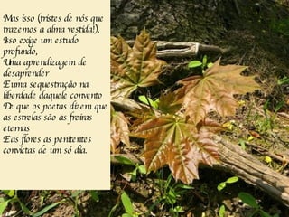 Mas isso (tristes de nós que trazemos a alma vestida!), Isso exige um estudo profundo, Uma aprendizagem de desaprender E uma sequestração na liberdade daquele convento De que os poetas dizem que as estrelas são as freiras eternas E as flores as penitentes convictas de um só dia. 