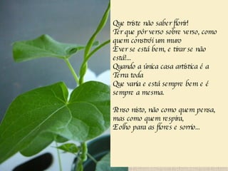 Que triste não saber florir! Ter que pôr verso sobre verso, como quem constrói um muro E ver se está bem, e tirar se não está!... Quando a única casa artística é a Terra toda Que varia e está sempre bem e é sempre a mesma. Penso nisto, não como quem pensa, mas como quem respira, E olho para as flores e sorrio... 