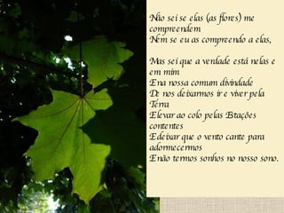 Não sei se elas (as flores) me compreendem Nem se eu as compreendo a elas, Mas sei que a verdade está nelas e em mim E na nossa comum divindade De nos deixarmos ir e viver pela Terra E levar ao colo pelas Estações contentes E deixar que o vento cante para adormecermos E não termos sonhos no nosso sono. 