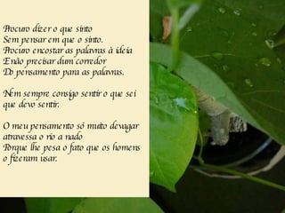 Procuro dizer o que sinto Sem pensar em que o sinto. Procuro encostar as palavras à ideia E não precisar dum corredor Do pensamento para as palavras. Nem sempre consigo sentir o que sei que devo sentir. O meu pensamento só muito devagar atravessa o rio a nado Porque lhe pesa o fato que os homens o fizeram usar. 