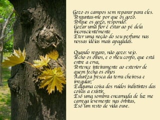 Gozo os campos sem reparar para eles.    Perguntas-me por que os gozo.  Porque os gozo, respondo.  Gozar uma flor é estar ao pé dela inconscientemente  E ter uma noção do seu perfume nas nossas idéias mais apagadas. Quando reparo, não gozo: vejo.  Fecho os olhos, e o meu corpo, que está entre a erva,   Pertence inteiramente ao exterior de quem fecha os olhos   À dureza fresca da terra cheirosa e irregular;  E alguma coisa dos ruídos indistintos das coisas a existir,  E só uma sombra encarnada de luz me carrega levemente nas órbitas,  E só um resto de vida ouve.  