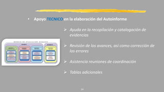 • Apoyo TECNICO en la elaboración del Autoinforme
 Ayuda en la recopilación y catalogación de
evidencias
 Revisión de los avances, así como corrección de
los errores
 Asistencia reuniones de coordinación
 Tablas adicionales
14
 