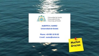 Embedded PowerPoint Video
ALBERTO A. SUAREZ
Universidad de Oviedo
Phone: +34 985 10 95 82
E-mail: suarez@uniovi.es
 