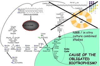 FAS
COOH
C=O
CH2
COOH
OAA
CoASC=O
CH3
Acetyl CoA
CH2OH
C=O
CH2OP
DHAP
HC=O
CHOH
CH2OP
3PGAD
TrioseP-
isomerase
COOH
C=O
CH3
Pyruvate
COOH
CHOH
CH2OP
3PGlycerate
Glucose
CH2OH
OH
OH
OH
OH
o
Fructose 1-6bisP
PO2HC
OH
OHOH
OH
CH2OPo
CoA
SH CO2
COOH
CH2
HOC-COOH
CH2
COOH
Citrate
CoASC=O
CH3
Acetyl CoA
COOH
CH2
HOC-COOH
CH2
COOH
Citrate
CoASC=O
CH2CH2CH2CH2CH2CH2CH2CH2CH2CH=CHCH2CH2CH2CH3
1
FA 16:1w5 cis
Krebs
Cycle
OLEOSOME
Citrate lyase
(cytopl.)
C
C
C
C
C
C
C
CH2OH
CHOH
CH2OH
13C1,3-GLYCEROL
C
C
C
C
C
C
CH2O-CO
CH2O-CO
CHO-CO
TRIACYLGLYCERIDE
x8
C
C
C
C3
1
CoASC=O
CH2CH2CH3
COOH
CH3
13C2-ACETATE
C
NMR / in vitro
culture combined
studies
CAUSE OF THE
OBLIGATED
BIOTROPHISM?
 