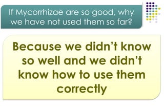 Because we didn’t know
so well and we didn’t
know how to use them
correctly
If Mycorrhizae are so good, why
we have not used them so far?
 