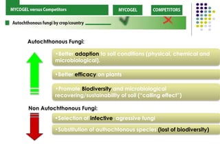 •Better adaption to soil conditions (physical, chemical and
microbiological).
•Better efficacy on plants
Non Autochthonous Fungi:
Autochthonous Fungi:
•Promote Biodiversity and microbiological
recovering/sustainability of soil (“calling effect”)
•Selection of infective, agressive fungi
•Substitution of authochtonous species (lost of biodiversity)
 