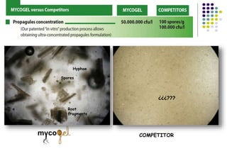 COMPETITOR
¿¿¿???
Spores
Root
fragments
Hyphae
 