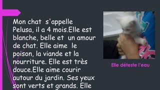 Mon chat s'appelle
Pelusa, il a 4 mois.Elle est
blanche, belle et un amour
de chat. Elle aime le
poison, la viande et la
nourriture. Elle est très
douce.Elle aime courir
autour du jardin. Ses yeux
sont verts et grands. Elle

Elle déteste l’eau

 