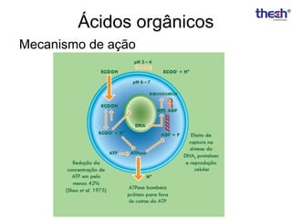 Ácidos orgânicos
Mecanismo de ação

 
