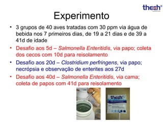 Experimento
• 3 grupos de 40 aves tratadas com 30 ppm via água de
bebida nos 7 primeiros dias, de 19 a 21 dias e de 39 a
41d de idade
• Desafio aos 5d – Salmonella Enteritidis, via papo; coleta
dos cecos com 10d para reisolamento
• Desafio aos 20d – Clostridium perfringens, via papo;
necrópsia e observação de enterites aos 27d
• Desafio aos 40d – Salmonella Enteritidis, via cama;
coleta de papos com 41d para reisolamento

 