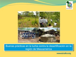 www.acicafoc.org   Buenas prácticas en la lucha contra la desertificación en la región de Mesoamérica 