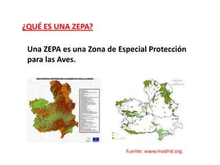 ¿QUÉ ES UNA ZEPA?
Una ZEPA es una Zona de Especial Protección
para las Aves.

Fuente: www.madrid.org.

 