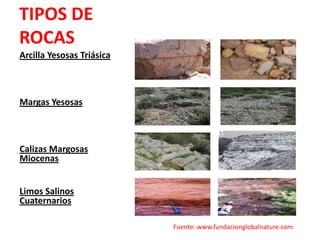 TIPOS DE
ROCAS
Arcilla Yesosas Triásica

Margas Yesosas

Calizas Margosas
Miocenas
Limos Salinos
Cuaternarios
Fuente: www.fundacionglobalnature.com

 