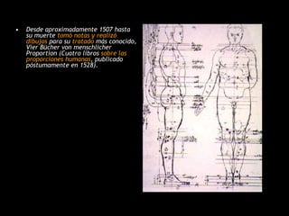 Desde aproximadamente 1507 hasta su muerte  tomó notas y realizó dibujos  para su  tratado  más conocido, Vier Bücher von menschlicher Proportion (Cuatro libros  sobre las proporciones humanas , publicado póstumamente en 1528).  