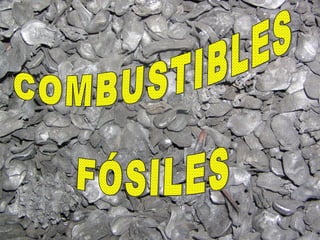 COMBUSTIBLES  FÓSILES 