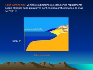 Talud continental :  vertiente submarina que desciende rápidamente desde el borde de la plataforma continental a profundid...
