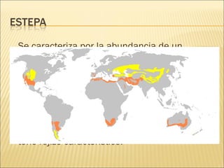Se caracteriza por la abundancia de un
territorio llano, con climas extremos y escasas
precipitaciones. Se les suele conocer como
desierto frío. Se encuentra en el interior
continental, con un clima árido y una gran
variación térmica entre verano e invierno. El
suelo tiene muchos minerales. Destaca el
óxido de hierro, que hace que el suelo tenga un
tono rojizo característico.

 