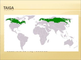 Podemos encontrarla en el norte de Europa,
Canadá y Alaska. Se limita con la estepa por el
sur y con la tundra en el norte. Las
temperaturas medias son de 19ºC en verano y
los -30ºC en invierno. Las precipitaciones
suelen ser abundantes. En el hemisferio sur no
se encuentran zonas de taiga porque la
proporción de tierra en las latitudes en que se
desarrolla es muy reducida

 