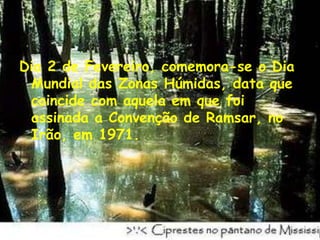 Dia 2 de Fevereiro, comemora-se o Dia Mundial das Zonas Húmidas, data que coincide com aquela em que foi assinada a Convenção de Ramsar, no Irão, em 1971. 