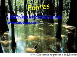 Fontesinfo@ideiasambientais.com.ptwww.google.com