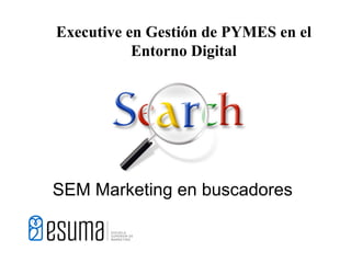 Executive en Gestión de PYMES en el
           Entorno Digital




SEM Marketing en buscadores
 
