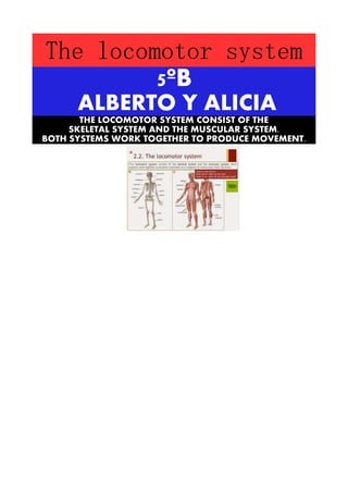 The locomotor system 
5ºB 
ALBERTO Y ALICIA 
THE LOCOMOTOR SYSTEM CONSIST OF THE 
SKELETAL SYSTEM AND THE MUSCULAR SYSTEM. 
BOTH SYSTEMS WORK TOGETHER TO PRODUCE MOVEMENT. 
