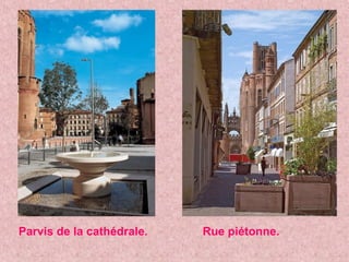 Parvis de la cathédrale. Rue piétonne.
 