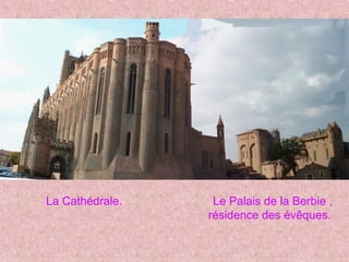 La Cathédrale. Le Palais de la Berbie ,
résidence des évêques.
 
