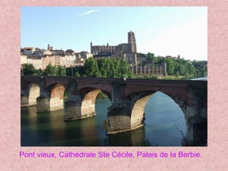 Pont vieux, Cathédrale Ste Cécile, Palais de la Berbie.
 