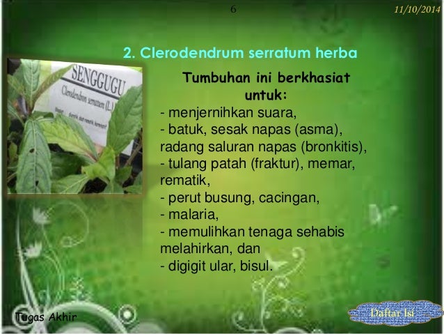 Slide powerpoint iklan produk