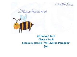 de Răzvan Toth
              Clasa a II-a B
Școala cu clasele I-VIII „Miron Pompiliu”
                    Ștei
 
