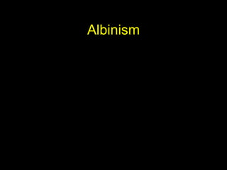 Albinism
 