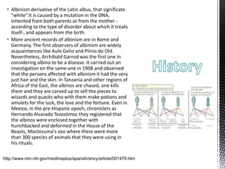  Albinism derivative of the Latin albus, that significate
"white“.It is caused by a mutation in the DNA,
inherited from both parents or from the mother -
according to the type of disorder about which it treats
itself-, and appears from the birth.
 More ancient records of albinism are in Rome and
Germany. The first observers of albinism are widely
acquaintances like Aulo Gelio and Plinio do Old.
Nevertheless, Archibald Garrod was the first one in
considering albino to be a disease. It carried out an
investigation on the same one in 1908 and observed
that the persons affected with albinism it had the very
just hair and the skin. In Tanzania and other regions of
Africa of the East, the albinos are chased, one kills
them and they are carved up to sell the pieces to
wizards and quacks who with them make potions and
amulets for the luck, the love and the fortune. Even in
Mexico, in the pre-Hispanic epoch, chroniclers as
Hernando Alvarado Tezozómoc they registered that
the albinos were enclosed together with
hunchbacked and deformed in the House of the
Beasts, Moctezuma's zoo where there were more
than 300 species of animals that they were using in
his rituals.
 