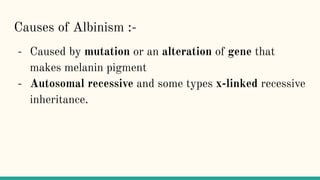 Causes of Albinism :-
- Caused by mutation or an alteration of gene that
makes melanin pigment
- Autosomal recessive and some types x-linked recessive
inheritance.
 