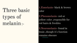 Three basic
types of
melanin:-
1.Eumelanin- black & brown
color
2.Phenomelanin- red or
yellow color ,responsible for
red hairs & freckles
3.Neuromelanin- found in
brain ,though it's function
remains obscure
 