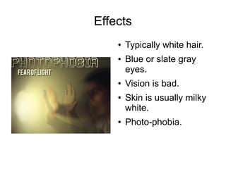 Effects
●
●
●
●
●
Typically white hair.
Blue or slate gray
eyes.
Vision is bad.
Skin is usually milky
white.
Photo-phobia.