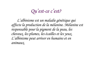 Qu’est-ce c’est? L’albinisme est un maladie génétique qui affecte la production de la mélanine. Mélanine est responsable pour la pigment de la peau, les cheveux, les plumes, les écailles et les yeux. L’albinisme peut arriver en humains et en animaux. 