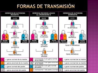 Formas de transmisión N   N N   ANNN   A N   N N   A