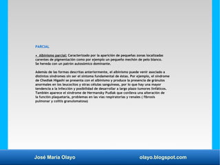 José María Olayo olayo.blogspot.com
PARCIAL
• Albinismo parcial: Caracterizado por la aparición de pequeñas zonas localizadas
carentes de pigmentación como por ejemplo un pequeño mechón de pelo blanco.
Se hereda con un patrón autosómico dominante.
Además de las formas descritas anteriormente, el albinismo puede venir asociado a
distintos sindromes sin ser el síntoma fundamental de éstas. Por ejemplo, el síndrome
de Chediak Higashi se presenta con el albinismo y produce la presencia de gránulos
anormales en los leucocitos y otras células sanguíneas, por lo que hay una mayor
tendencia a la infección y posibilidad de desarrollar a largo plazo tumores linfáticos.
También aparece el síndrome de Hermansky Pudlak que conlleva una alteración de
la función plaquetaria, problemas en las vías respiratorias y renales ( fibrosis
pulmonar y colitis granulomatosa)
 