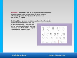 José María Olayo olayo.blogspot.com
Autosómica quiere decir que no va incluida en los cromosomas
sexuales, ya que todos los individuos llevamos nuestra
información genética distribuida en 46 cromosomas
que forman 23 parejas.
De éstas, 22 son los pares somáticos que llevan la información
para caracteres no relacionados con
el sexo del individuo y el ultimo par
son los cromosomas sexuales que nos
indican el sexo del individuo y algunas
características ligadas al sexo.
 