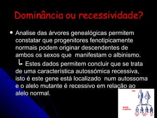 Dominância ou recessividade? Analise das árvores genealógicas permitem constatar que progenitores fenotipicamente normais podem originar descendentes de ambos os sexos que  manifestam o albinismo. Estes dados permitem concluir que se trata de uma característica autossómica recessiva, isto é este gene está localizado  num autossoma e o alelo mutante é recessivo em relação ao alelo normal. 