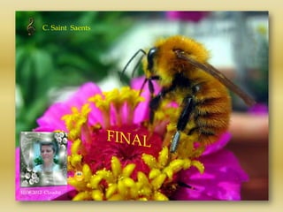 C. Saint Saents




10.06.2012 Claudia
 