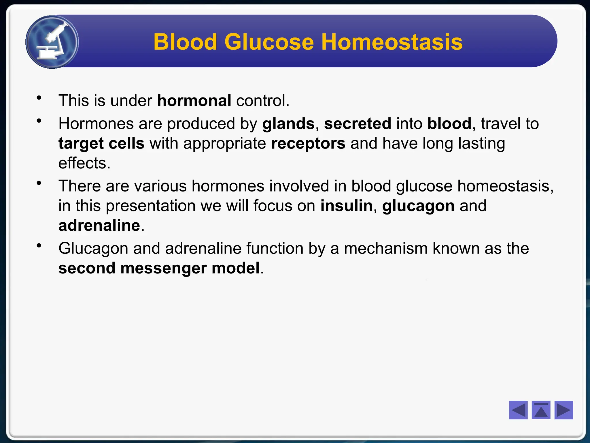 Biology Homeostasis - Blood Glucose.ppt