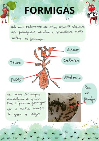 FORMIGAS 6ºEI
 