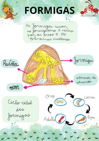FORMIGAS
 