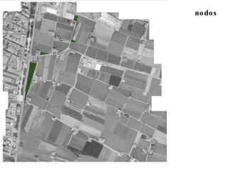 nodos 